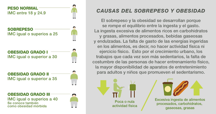 causas del sobrepeso y obesidad